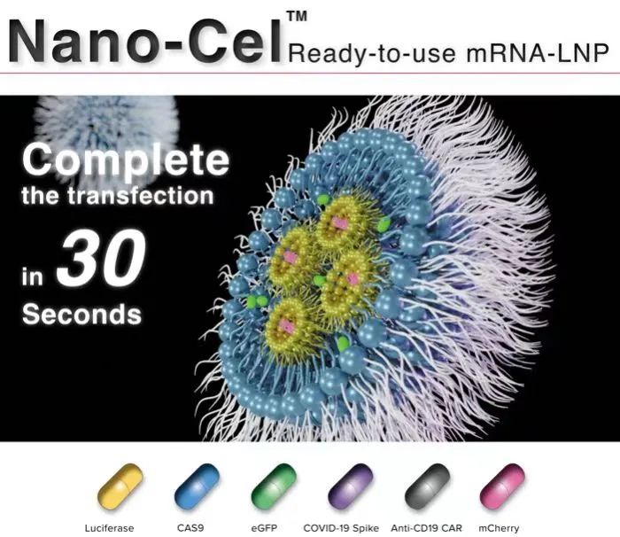 好消息接踵而至！远泰生物新一代非病毒递送载体 mRNA-LNP的优势到底何在？