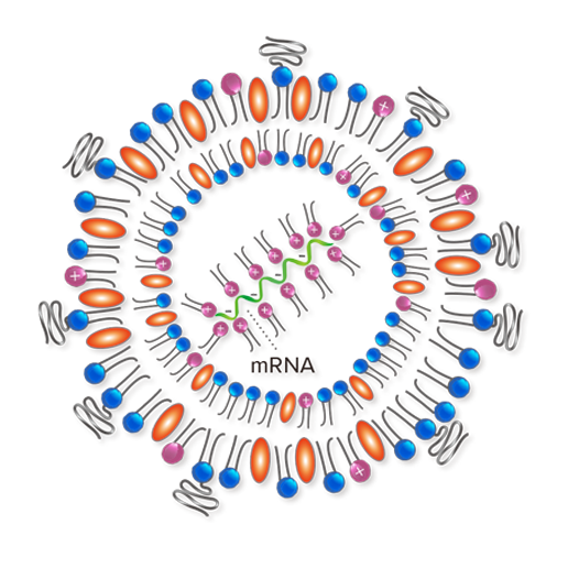 技术前沿 | 远泰生物mRNA-LNP技术应用策略一览